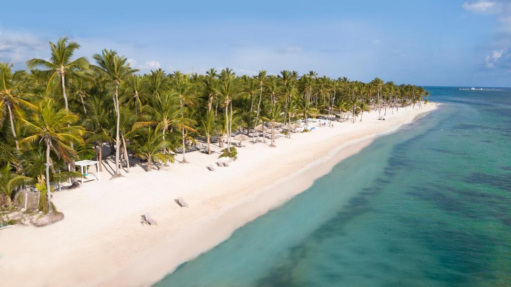 Resorts en Punta Cana Todo incluido, República Dominicana cataloniaroyalbavaro allinclusive adultsonlypuntacana