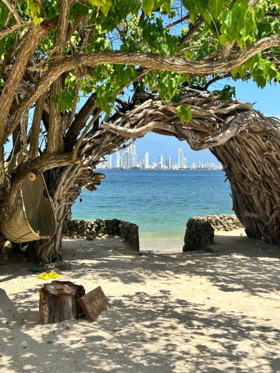 Hoteles de lujo en la isla tierra bomba namastebeachclubhoteltierrabomba