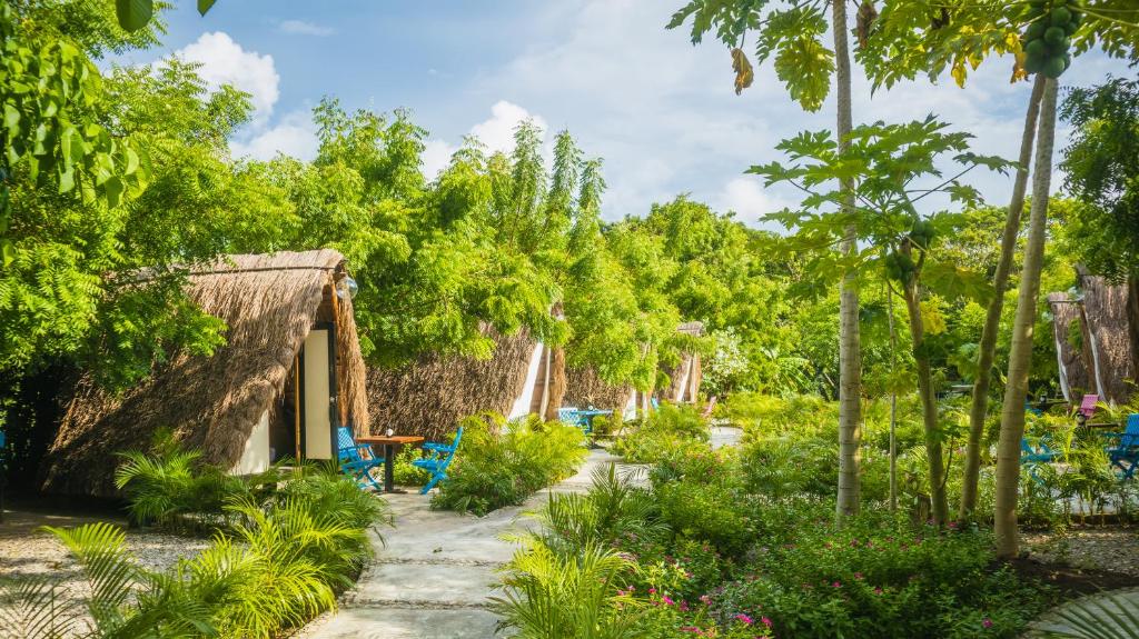 Hoteles de lujo en la isla tierra bomba santuariobeachhosteltierrabomba