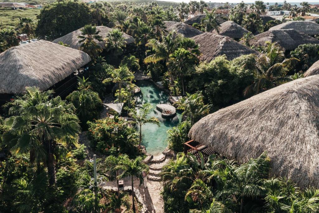 Hoteles en Curazao kontikibeachresortwillemstadpreciosactualizados2024