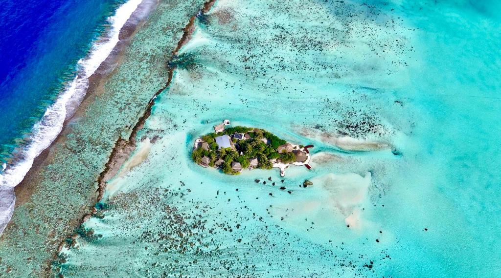 Descubre los hoteles más lujosos y exclusivos en la Polinesia Francesa EDEN Private Island TAHAA, Patio (precios actualizados 2025)