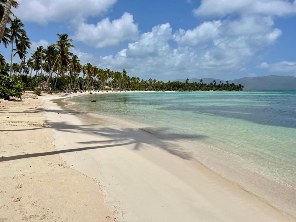 21palmslasgaleras