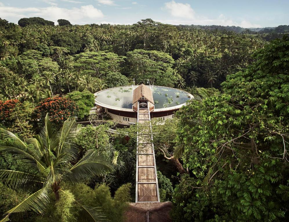 5 Hoteles Four Seasons fourseasonsresortbaliatsayanubudpreciosactualizados2025