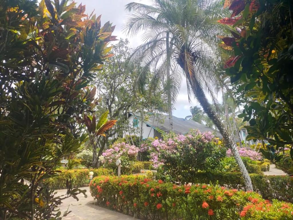 Best Hotels in Samana Peninsula, Dominican Republic. laspalmasecoresidencelasterrenas