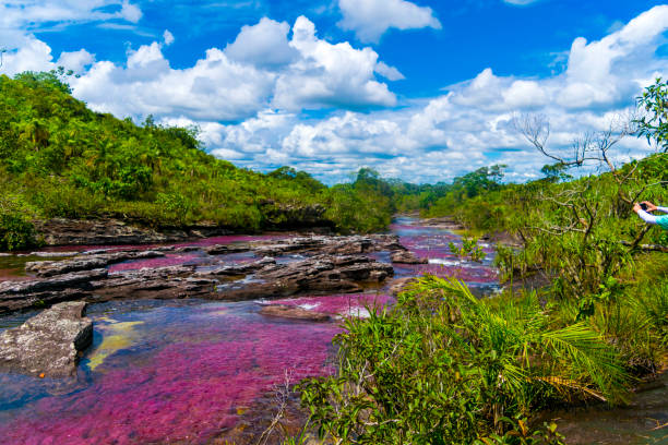 CONSIDERED THE MOST BEAUTIFUL RIVER IN THE WORLD BY COLOMBIANS, CAÑO CRISTALES HAS AQUATIC PLANTS THAT ONLY GROW IN THE RAINY SEASON, WHICH CHANGE COLORS TO REDDISH, GREEN, ORANGE, COFFEE THAT WHEN MIXED WITH THE COLORS THAT TEND TOWARDS YELLOWS AND BLUES OF THE RIVER CREATE A NATURAL SPECTACLE