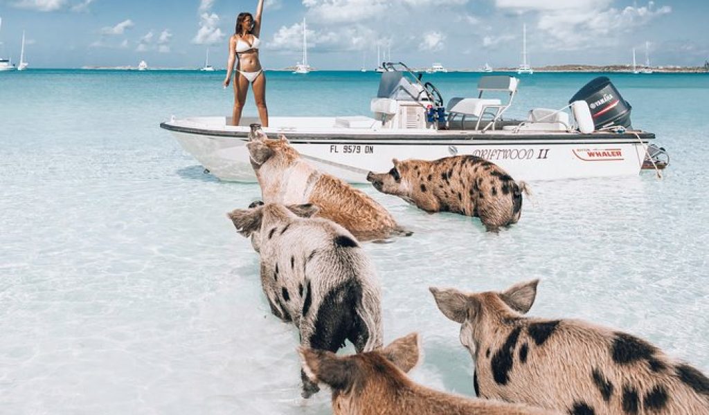 tours y actividades en bahamas