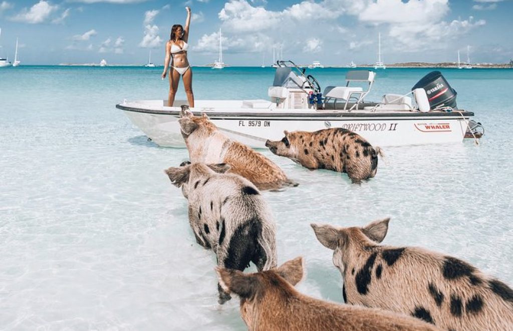 Tours y actividades en Bahamas