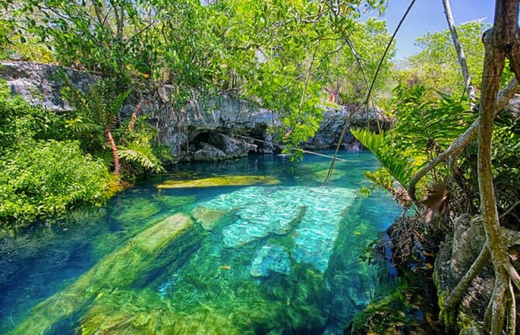 Tours and Experiences in Playa del Carmen